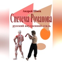 Андрей Владимирович Швец. Система Романова – русский внутренний стиль