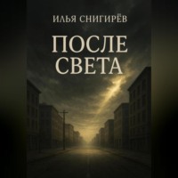 Илья Олегович Снигирёв. После света