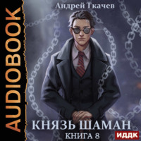 Андрей Ткачев. Князь шаман. Книга 8