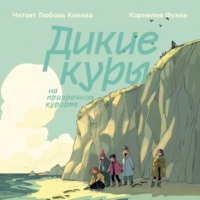 Корнелия Функе. Дикие Куры на призрачном курорте