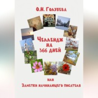 Ольга Голубева. ЧЕЛЛЕНДЖ на 366 ДНЕЙ или Заметки начинающего писателя