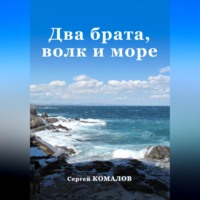 Сергей Комалов. Два брата, волк и море