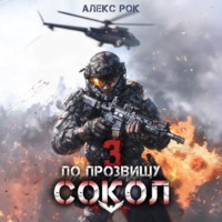 . По прозвищу «Сокол». Том 3