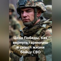 . Цена Победы. Как вернуть гармонию и смысл жизни бойцу СВО.