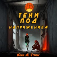 Кира М. Стриж. Тени под напряжением