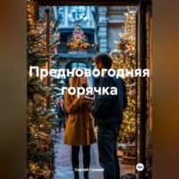 Сергей Громов. Предновогодняя горячка