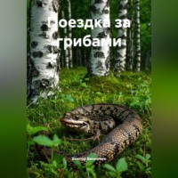 Виктор Винничек. Поездка за грибами