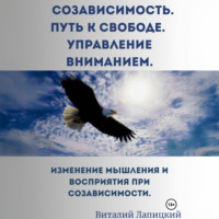 Виталий Лапицкий. Созависимость. Путь к свободе. Управление вниманием
