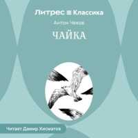 . Чайка