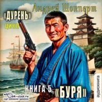 . Дурень. Книга пятая. Буря