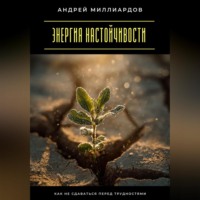 Андрей Миллиардов. Энергия настойчивости. Как не сдаваться перед трудностями