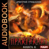 Дмитрий Гришанин. Практикант. Книга 6