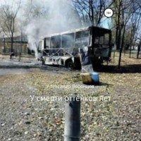 Александр Воронцов. У смерти оттенков нет