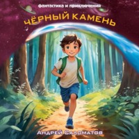 Андрей Саломатов. Чёрный камень