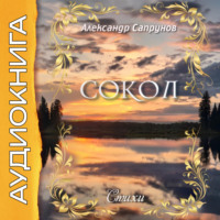. Сокол