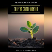 Андрей Миллиардов. Энергия саморазвития. Как расти каждый день