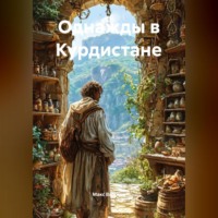 Макс Валсинс. Однажды в Курдистане