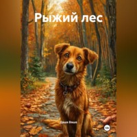 Даша Ваша. Рыжий лес