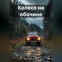 Ирина Одарчук Паули. Колесо на обочине