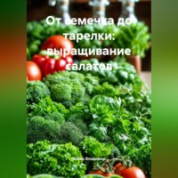 . От семечка до тарелки: выращивание салатов