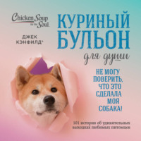 . Куриный бульон для души. Не могу поверить, что это сделала моя собака! 101 история об удивительных выходках любимых питомцев