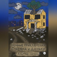 Дмитрий Зангиев. Ночные приключения Стасяна и Даньки