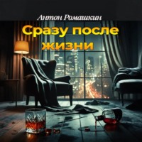 Антон Ромашкин. Сразу после жизни