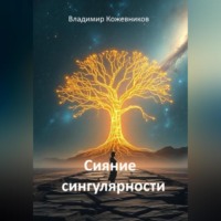 . Сияние сингулярности