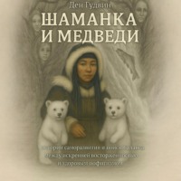 Ден Гудвин. Шаманка и медведи – истории саморазвития и поиска баланса между искренней восторженностью и здоровым пофигизмом