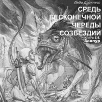 Леди Дракнесс. Средь бесконечной череды созвездий. Книга 5.4. Захпур.