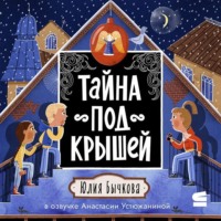 Юлия Бычкова. Тайна под крышей
