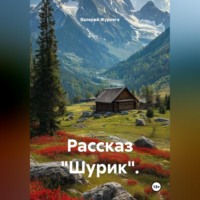 Валерий Журнега. Рассказ «Шурик».