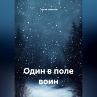 Сергей Михайлович Швечков. Один в поле воин.