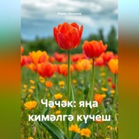 Рамис Латыпов. Чәчәк: яңа кимәлгә күчеш