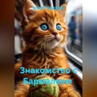Irina Tkachuk. Знакомство с Бармалеем