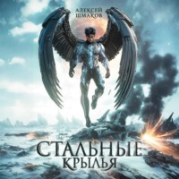 Алексей Шмаков. Стальные Крылья