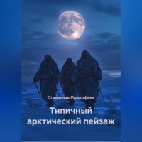 Станислав Владимирович Прокофьев. Типичный арктический пейзаж