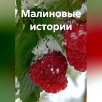 Габи Бользен. Малиновые истории