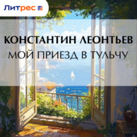 . Мой приезд в Тульчу
