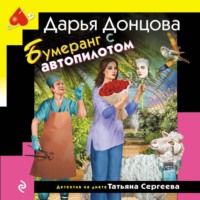 . Бумеранг с автопилотом