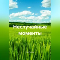 Нил Плёсов. Неслучайные моменты