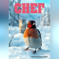 Иван Царегородцев. Снег