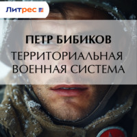 Петр Бибиков. Территориальная военная система