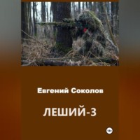 Евгений Владимирович Соколов. Леший-3