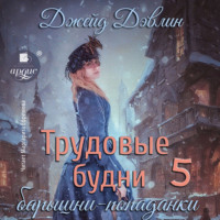 . Трудовые будни барышни-попаданки 5