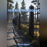 Сергей Ронин. Перевоспиталовка