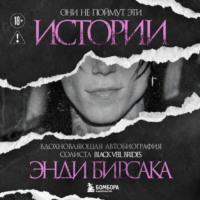 Энди Бирсак. Они не поймут эти истории: Вдохновляющая автобиография солиста Black Veil Brides Энди Бирсака