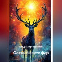 Владимир Никитин. Олень в свете фар