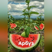 Ирина Одарчук Паули. Арбуз