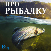 . Про рыбалку